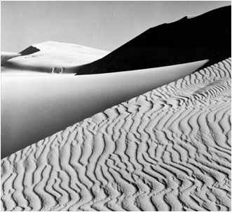 A print of "Dunes, Oceano, California"
